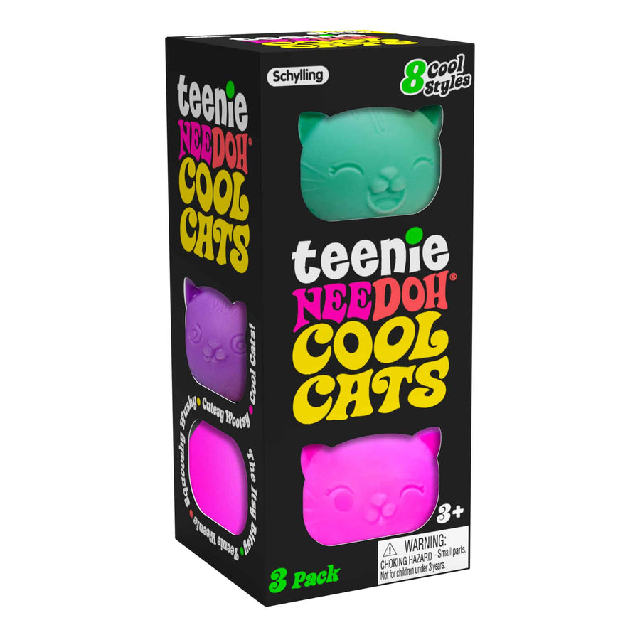 Teenie NeeDoh Cool Cats - Daily Ready